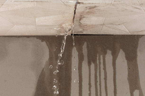 Professional Water Damage Repair technician working in Rochester, MI
